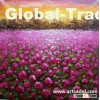 100% handmade landscape/flower oil painting on canvas