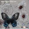 hand painted animal oil painting --butterfly