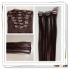 Clip On Brazilian Human Hair Weft Extension