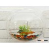 acrylic slatwall fish aquarium