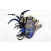 17" Blue Hand Made Venetian Jester Mask Mardi Gras Masquerade For Lady