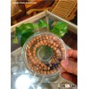 The Wood Carving Crafts- eaglewood-0.8-1