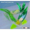 acrylic mini fish aquarium