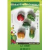 fashion design resin fridge magnet