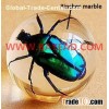 Real Green Chafer Beetle In Clear Resin Ball, Insect Specimen Bug Sphere, So Cool Boy Gift, 60mm
