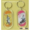 Acrylic key chain