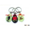Acrylic Lucite Resin Real Bug Keychains, Keyrings, Key Chains Wholesale