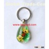 Sell Real Bug And Flower Inside Lucite Keychains, Key Chains,www.bayead.com