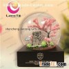 Musical Snow Globe
