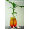 Colorful water  beads for party decoration