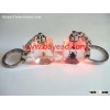 novel LED light insect amber keychaisn,key ring,so cool gift,fancy keychains
