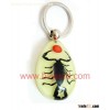 real insect amber keychains,Birtheday gift,cool presents,unique Xmas present-www.bayead.com