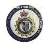 customed Police design Zinc alloy metal pin badges with filling colors and Nickel finish