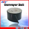 2016 Popular Wear Resistant Durable EP300-500 PVC Scales Slat Conveyor Belt Price