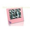 Pink 8" USB 2.0 LCD High Resolution Digital Picture Frame With Music