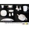 ceramic tableware(LC-16)