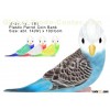 Plastic Parrot Coin Bank