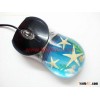 Real starfish in man-made amber optical USB computer mouse,so cool gift,office gift,promotion gift