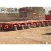 Chinese Self propelled modular trailer