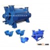 Siemens copy water ring vacuum pump