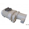 Roots vacuum pump
