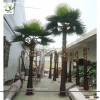 UVG PTR003 22ft tall fake palm tree with fan leaves in dubai for park landscaping outdoor use