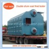 Biomass steam boiler