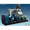 Oil Free Lubrication Air Compressor