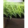 Professional Playground Artificial Grass , Backyard Artificial Turf Flooring