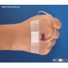 Medical I.V. Dressing