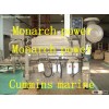 cummins kta19 kt19 marine diesel engine for ferry