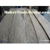 Sliced Cut Natural Chinese Oak Wood Veneer Sheet