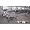 500Kg / H Fruits And Vegetable Processing With Chile Washer Machine For Spinach, Celery