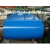 SGCC Pre-Painted Electro Galvanized Steel Strip With 30mm Width