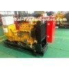 50Hz/60Hz 1500rpm/18000rpm 65kw Industrial Natural Gas Backup Generator With Flame Arrester
