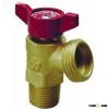 Mueller valve
