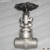 high pressure socket weld globe valve