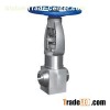Forged steel power station globe valve