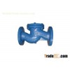 Cast Iron Check Valve