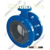 Center line double flanged butterfly valve
