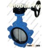 Lug type butterfly valve