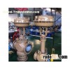 Pressure Balanced Cage type Control Valve