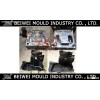 Injection plastic auto mudguard mould