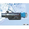 Axial Flow Pump-Sleigh Floating Type