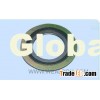 Spiral Wound Gasket