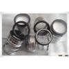Elastomer Bellow Mechanical Seals as-E01 Replace AES P05u