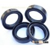 Busak+Shamban Skeleton Oil Seal