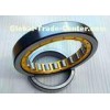P5 Standard Cylindrical Roller Bearing with Single inner ring guard for Industrial , 70*125*24