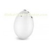 White Household Ultrasound Fetal Doppler Listen To Baby Heartbeat At Home