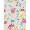 Print Blanket